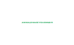 Animals+Make+You+Smile-11