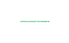 Animals+Make+You+Smile-13