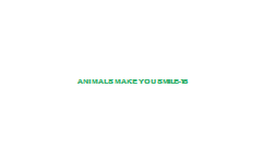 Animals+Make+You+Smile-15