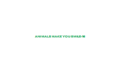 Animals+Make+You+Smile-16