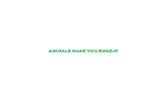 Animals+Make+You+Smile-17