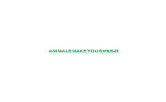 Animals+Make+You+Smile-21