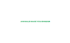 Animals+Make+You+Smile-24