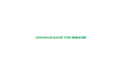Animals+Make+You+Smile-251