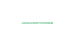 Animals+Make+You+Smile-29