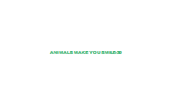 Animals+Make+You+Smile-30