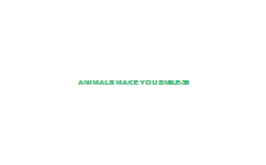 Animals+Make+You+Smile-35