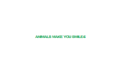 Animals+Make+You+Smile-6