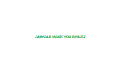 Animals+Make+You+Smile-7