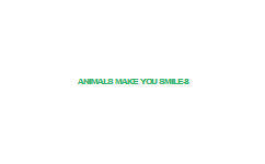 Animals+Make+You+Smile-8