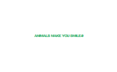 Animals+Make+You+Smile-9