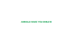 Animals+Make+You+Smile12