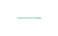 Animals+Make+You+Smiles-4