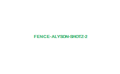 fence-alyson-shotz-2
