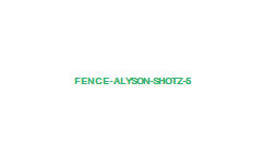 fence-alyson-shotz-5