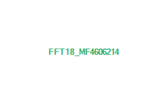 fft18_mf4606214