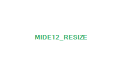 mide12_resize