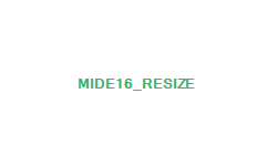 mide16_resize
