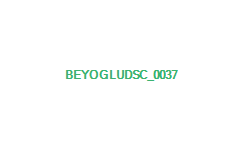 beyogluDSC_0037