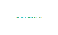 Yeni Nesil Mouse: The evoMouse